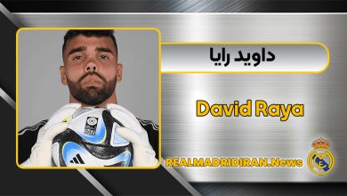 بیوگرافی داوید رایا